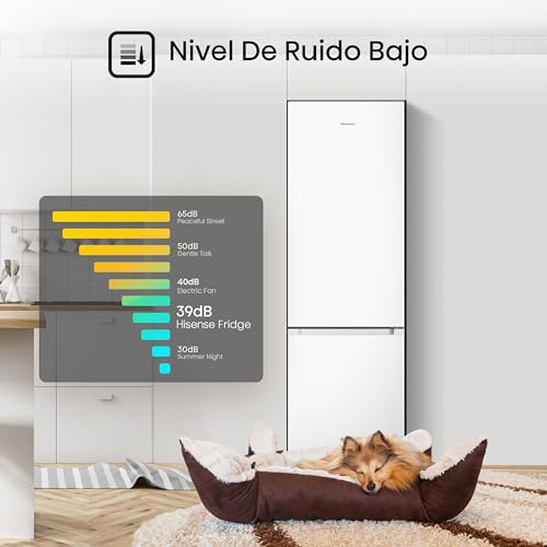 Hisense RB343D4CWE - Frigoríficos Combi, 269L, Clase E, An 55cm x Al 180cm, Apertura de Puertas 90º, Puerta Reversible, Cajón Frutas y Verduras, Iluminación Led, Balconera de Gran Capacidad, Blanco