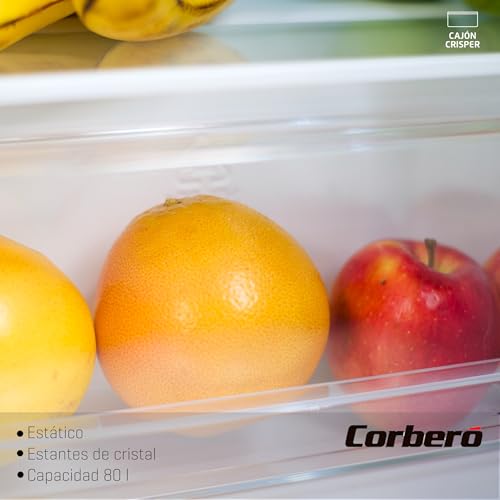 Corberó - Frigorífico 1 Puerta | CF1PM8024 | 80L | Congelador 12L | Crisper | Descongelación Manual | 4 Estrellas | Estantes de Cristal | 41 Db | Inox