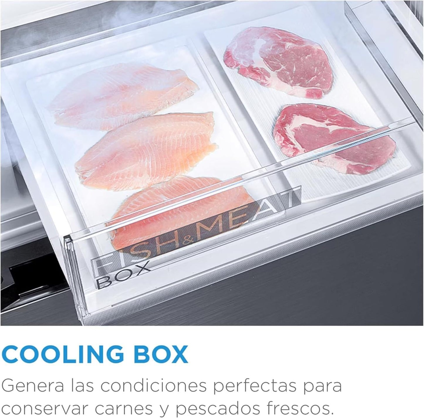 Midea Frigorífico Combi No Frost | 60 cm ancho x 188 alto cm | Inox | Nevera libre instalación 224 L + 86 L Congelador - Refrigerador de bajo consumo con congelador vertical